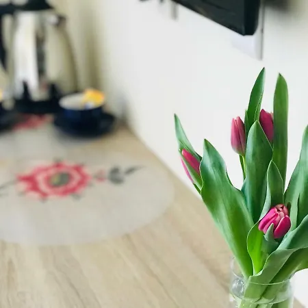 Fabryka Apartment